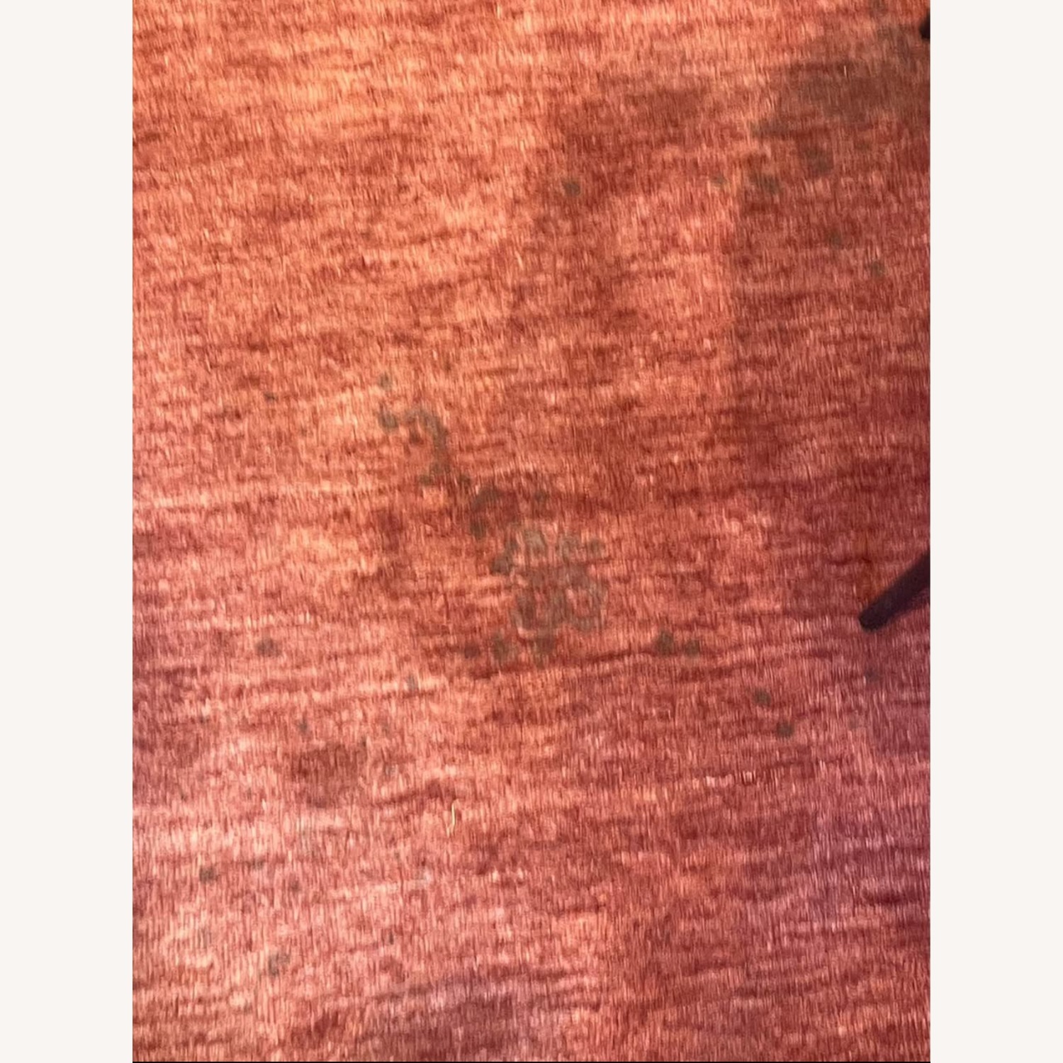 Joss & Main Nala Red Wool Area Rug 8' x 10' - image-3