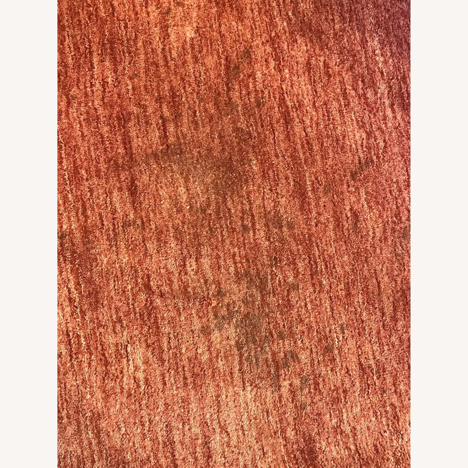 Joss & Main Nala Red Wool Area Rug 8' x 10' - image-4