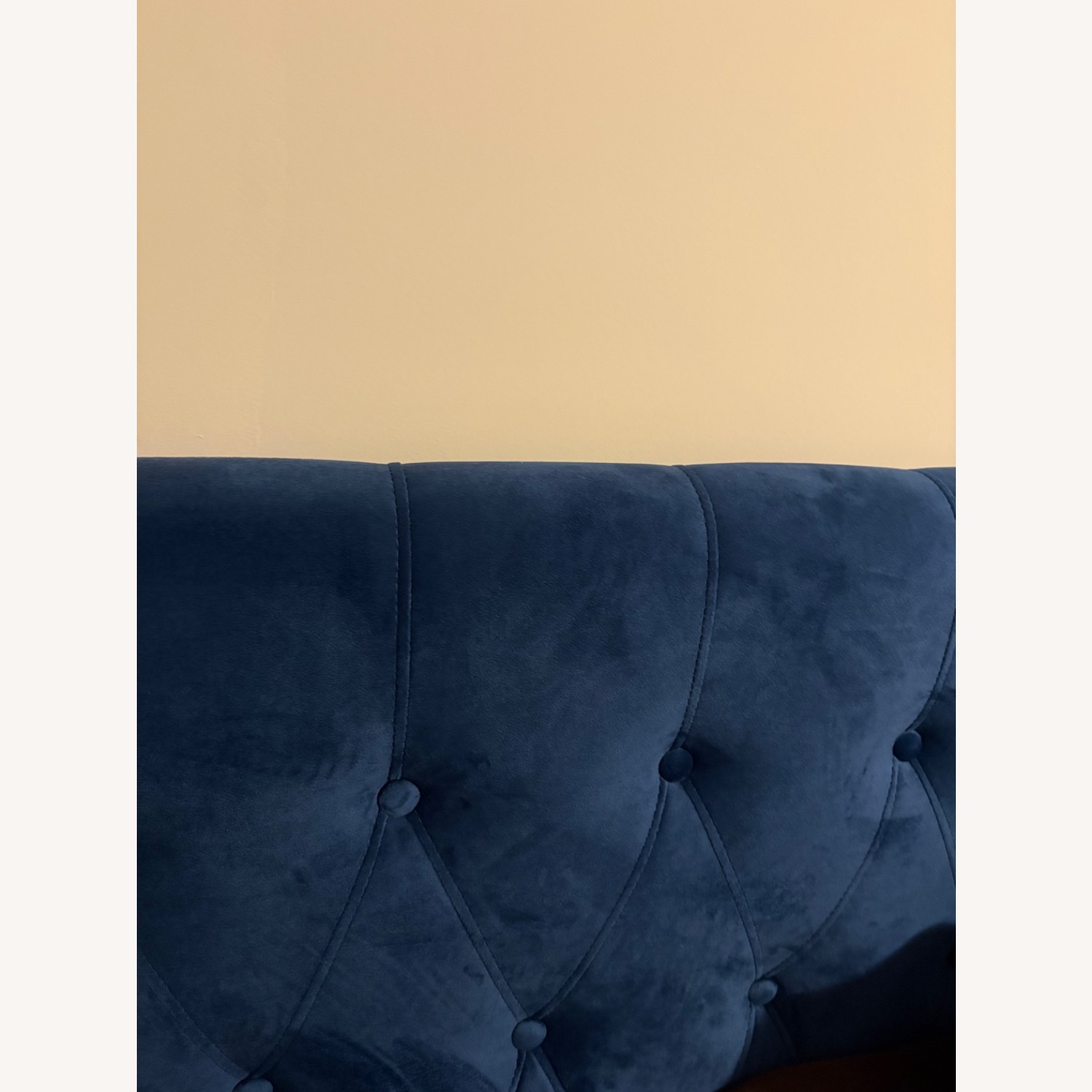 CalKing Blue Velvet Tufted Lo Profile Bed - image-28