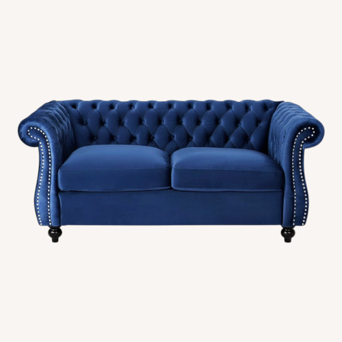 Used Christopher Knight Home Blue Loveseat  for sale on AptDeco