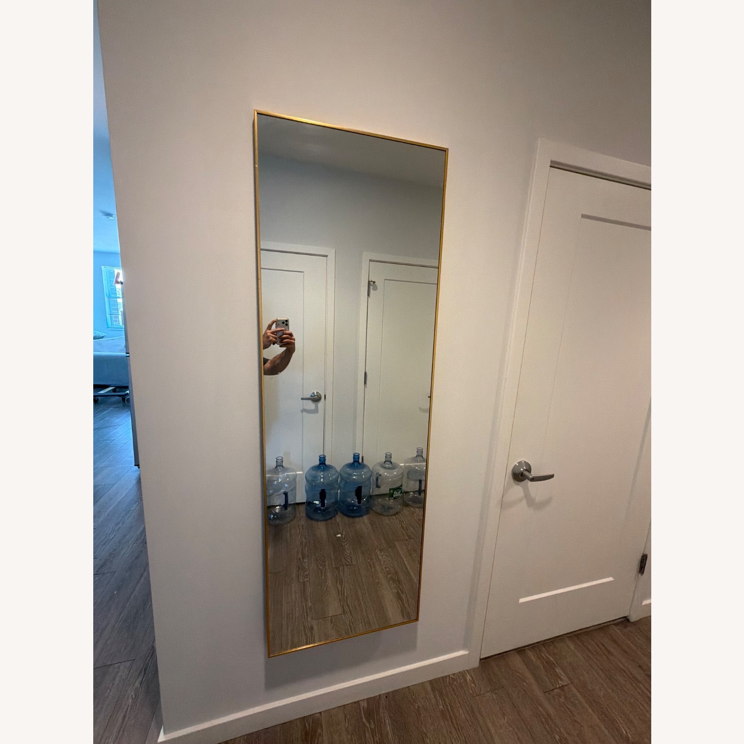 Amazon Gold Floor Mirror - image-2