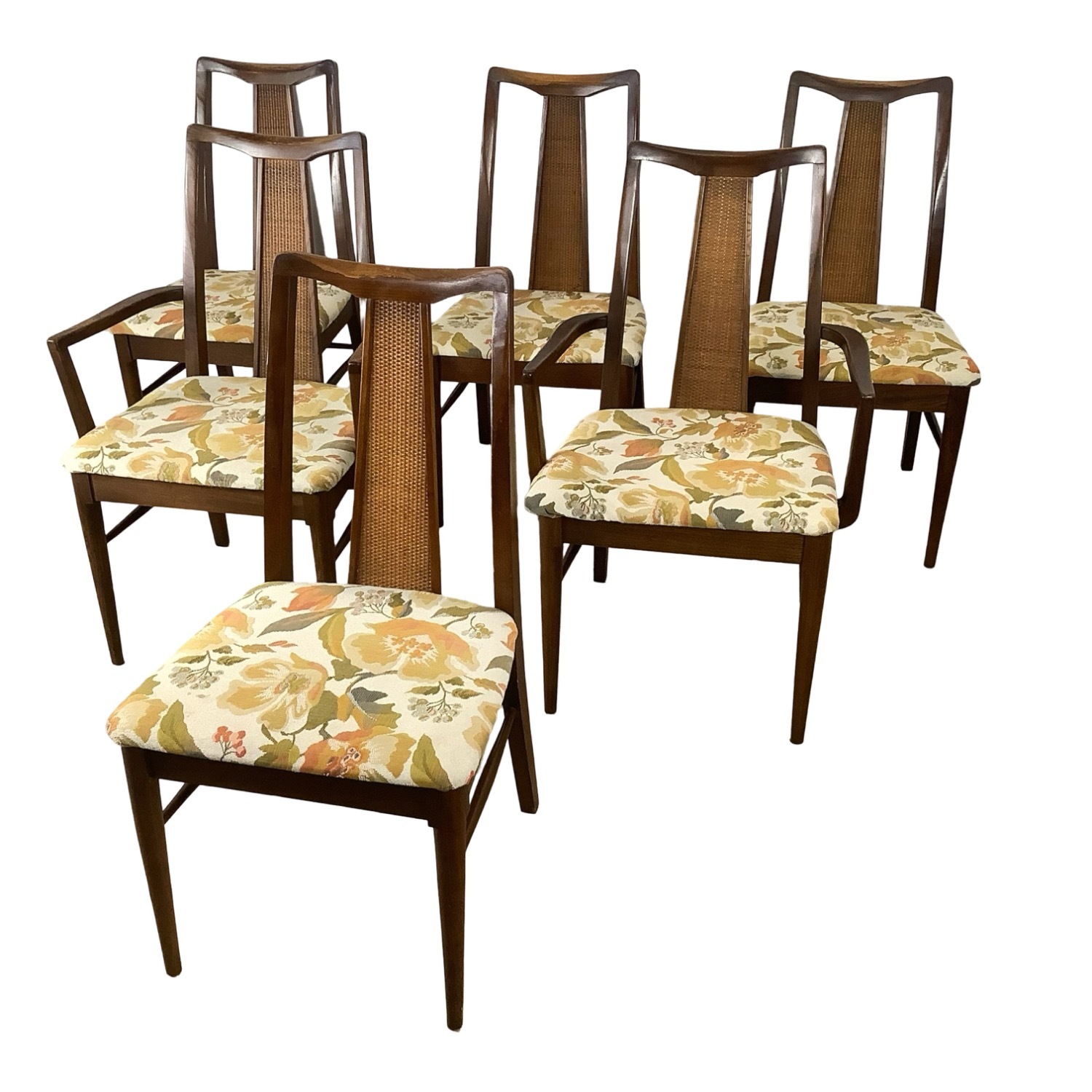 Mid-Century Highback Dining Chairs (Set of 6) - image-5