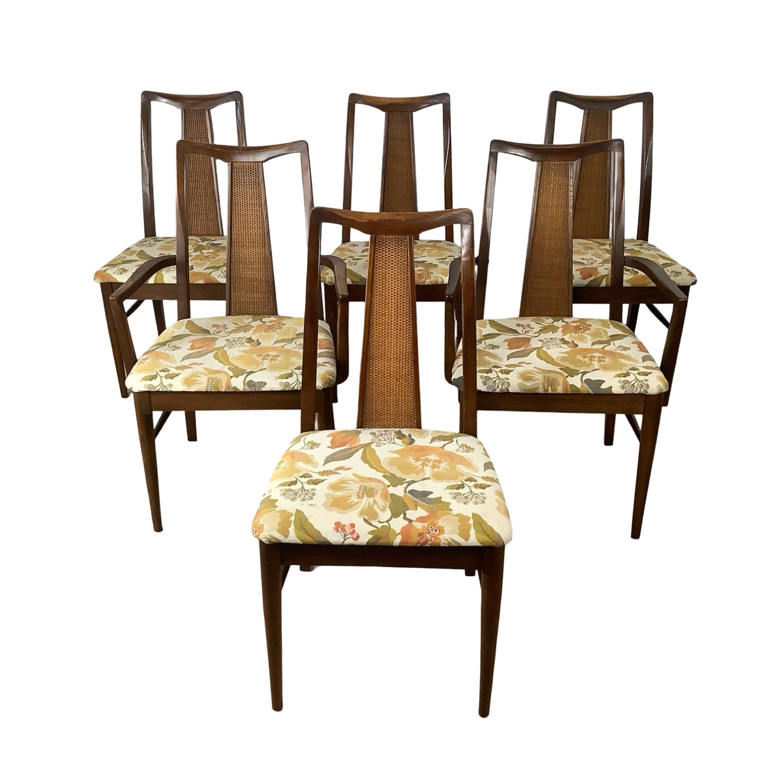 Mid-Century Highback Dining Chairs (Set of 6) - image-2