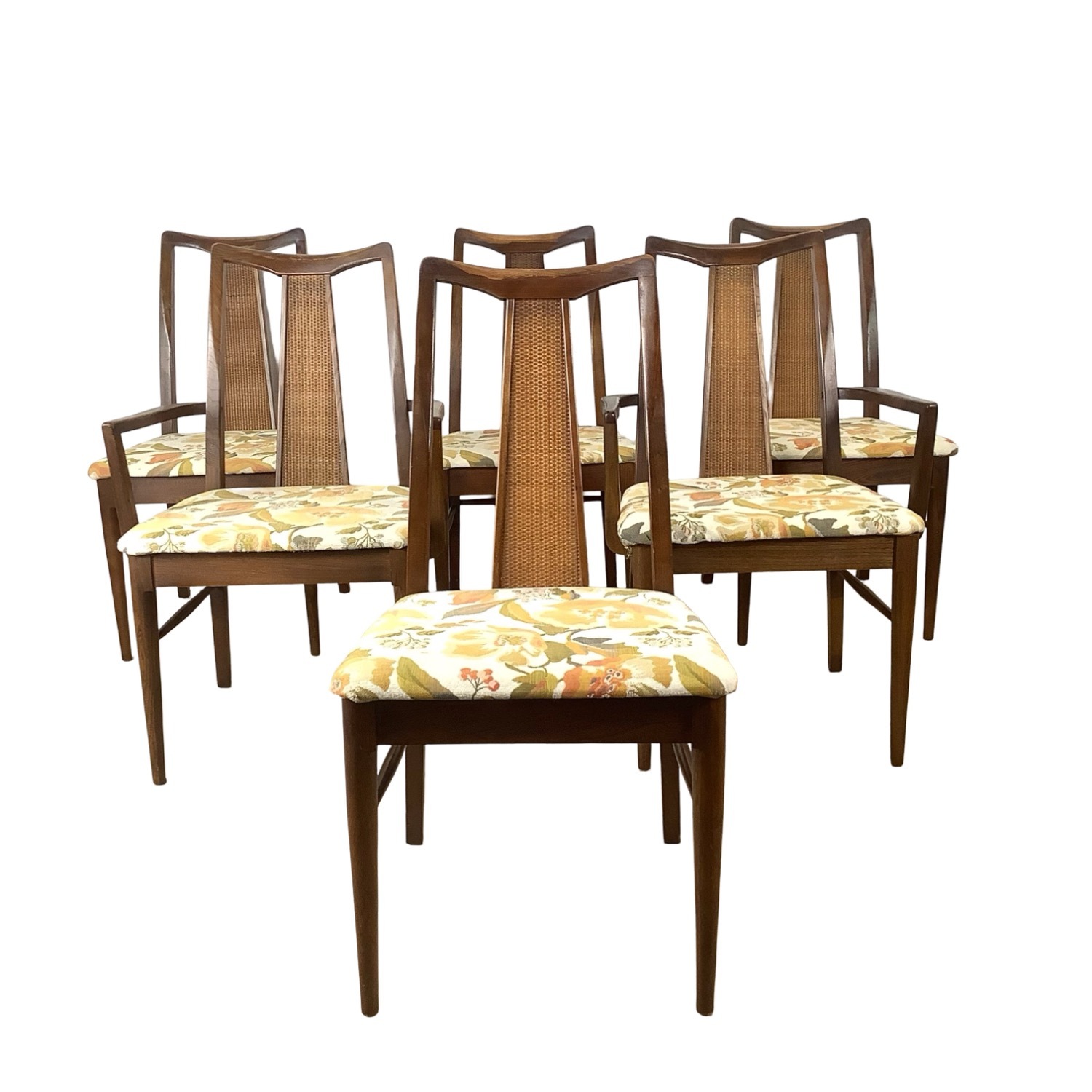 Mid-Century Highback Dining Chairs (Set of 6) - image-8