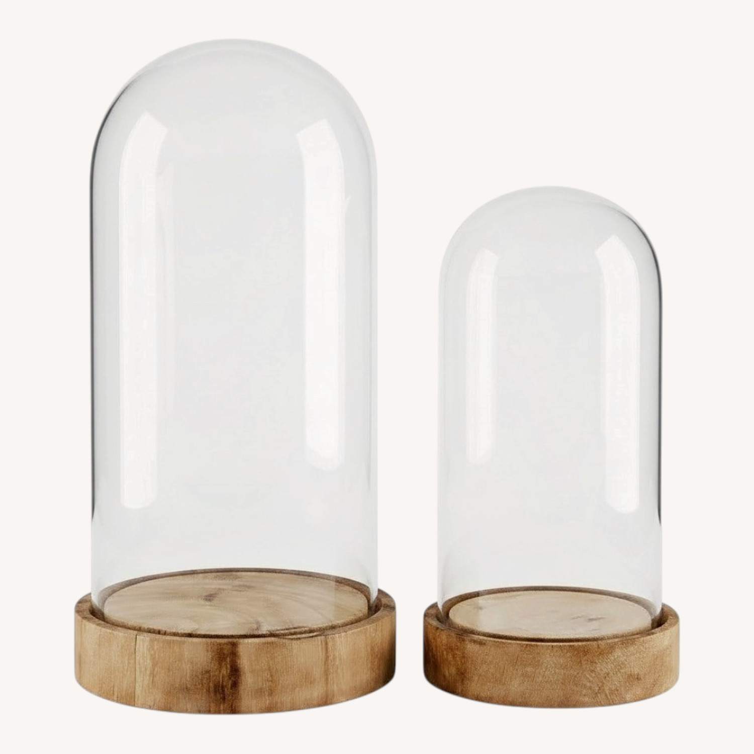 Restoration Hardware Transparent Wood Décor - image-0