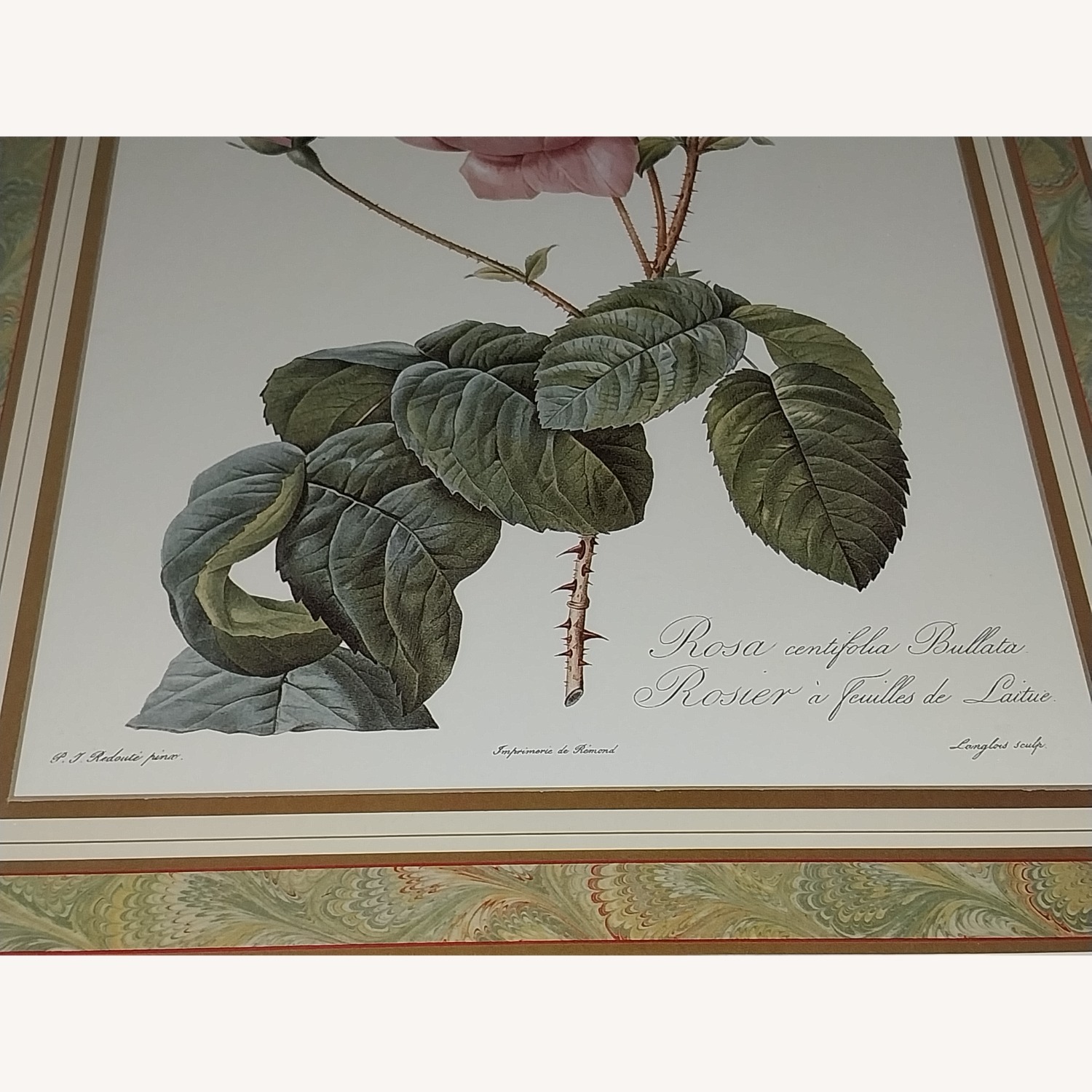 PJ Redoute Gold Framed Print Flower - image-4