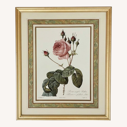 Used PJ Redoute Gold Framed Print Flower for sale on AptDeco