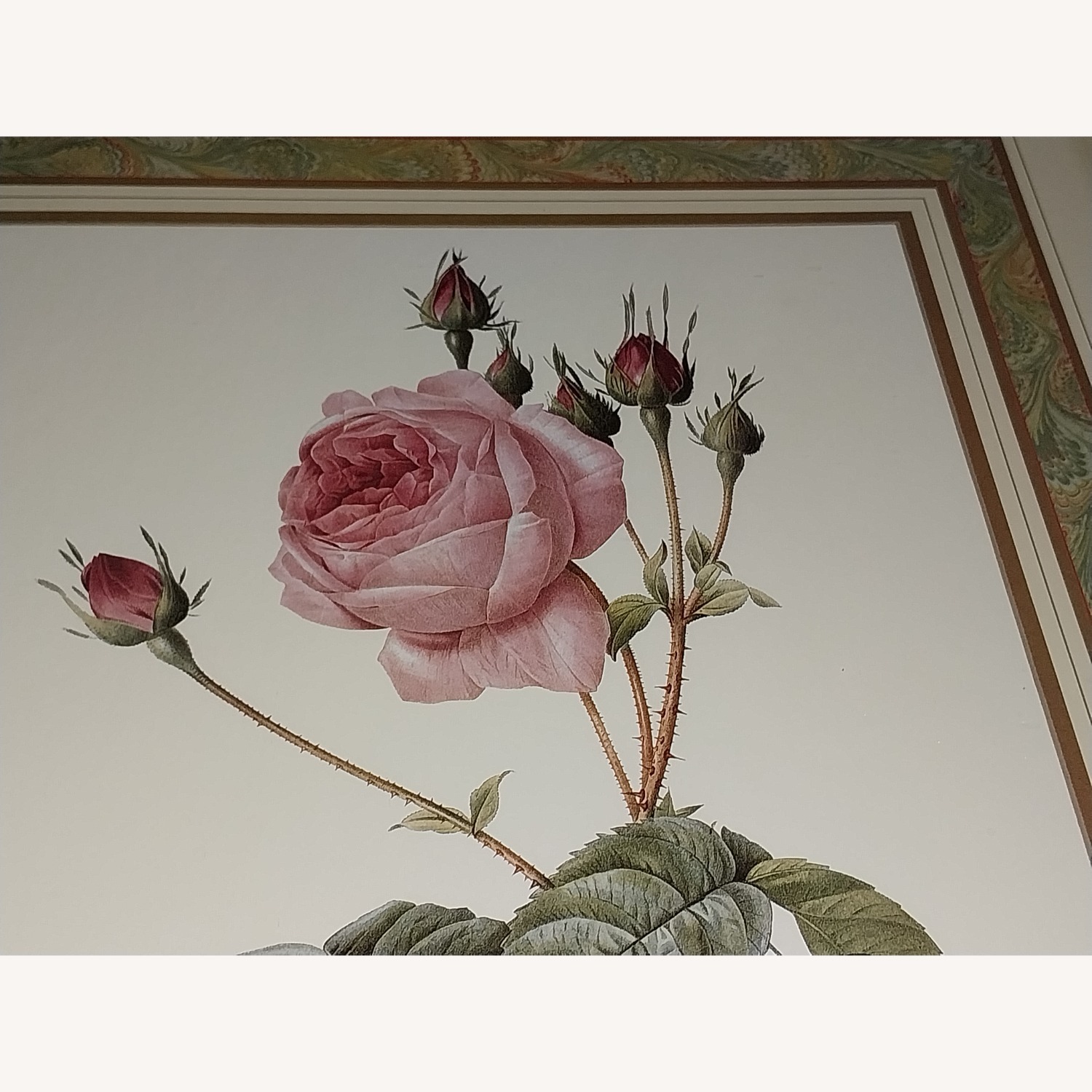 PJ Redoute Gold Framed Print Flower - image-6