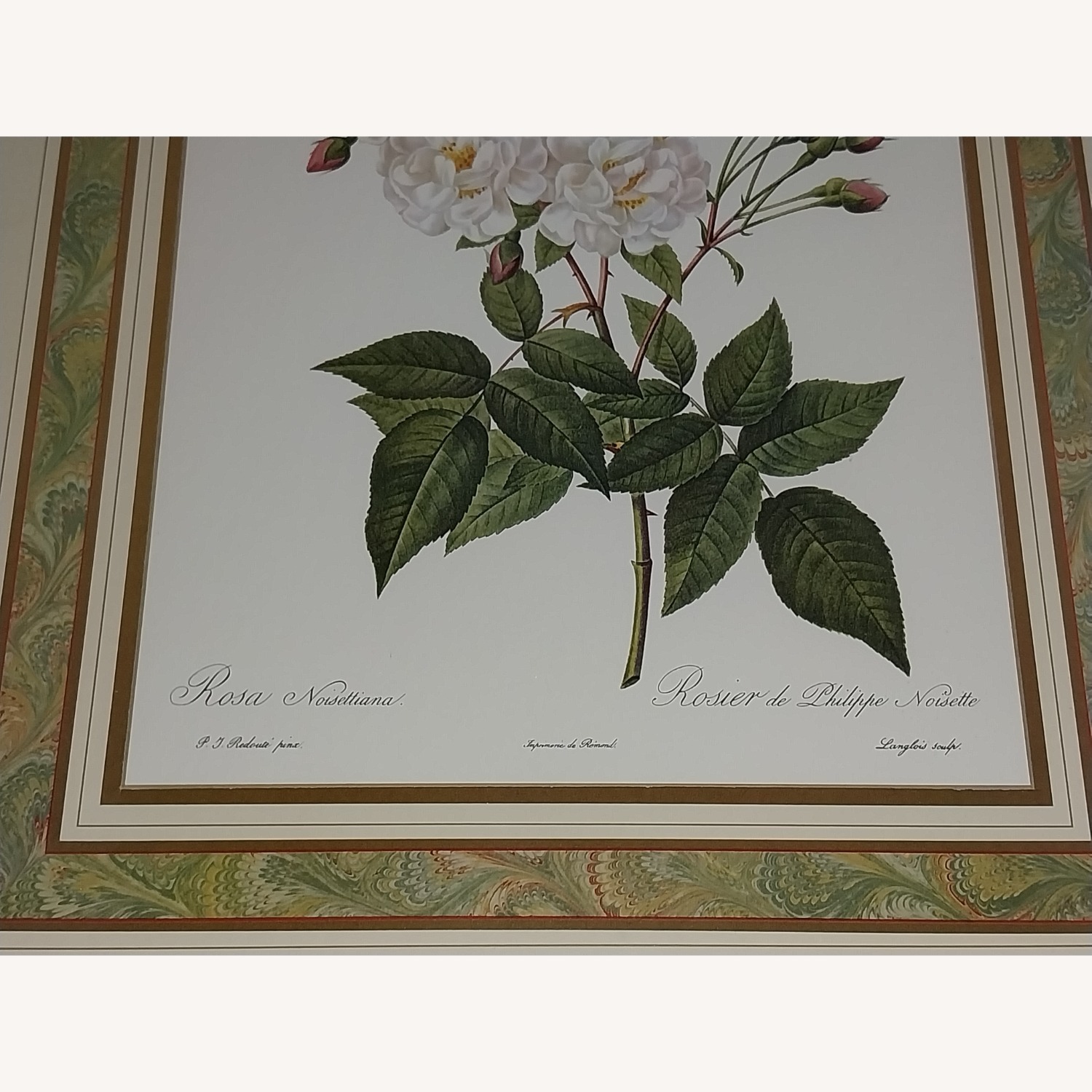 PJ Redoute Gold Frame Art Floral - image-2