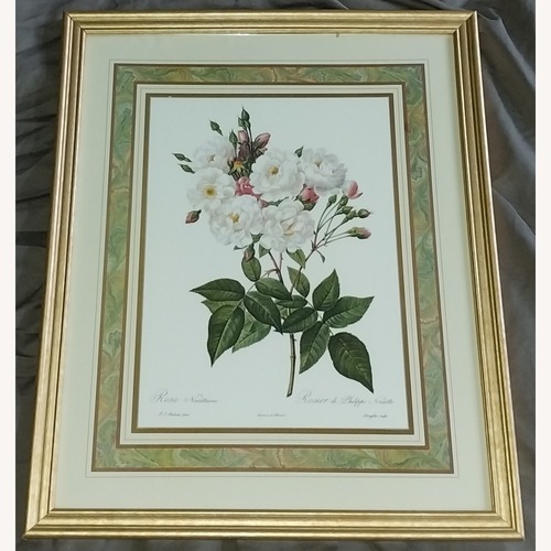 Used PJ Redoute Gold Frame Art Floral for sale on AptDeco
