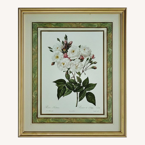 Used PJ Redoute Gold Frame Art Floral for sale on AptDeco