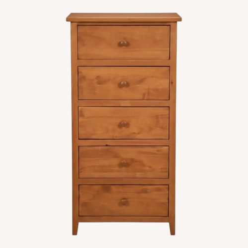 Used Gothic Cabinet Craft 5-drawer Chest  for sale on AptDeco