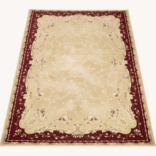 Used Area Rug for sale on AptDeco