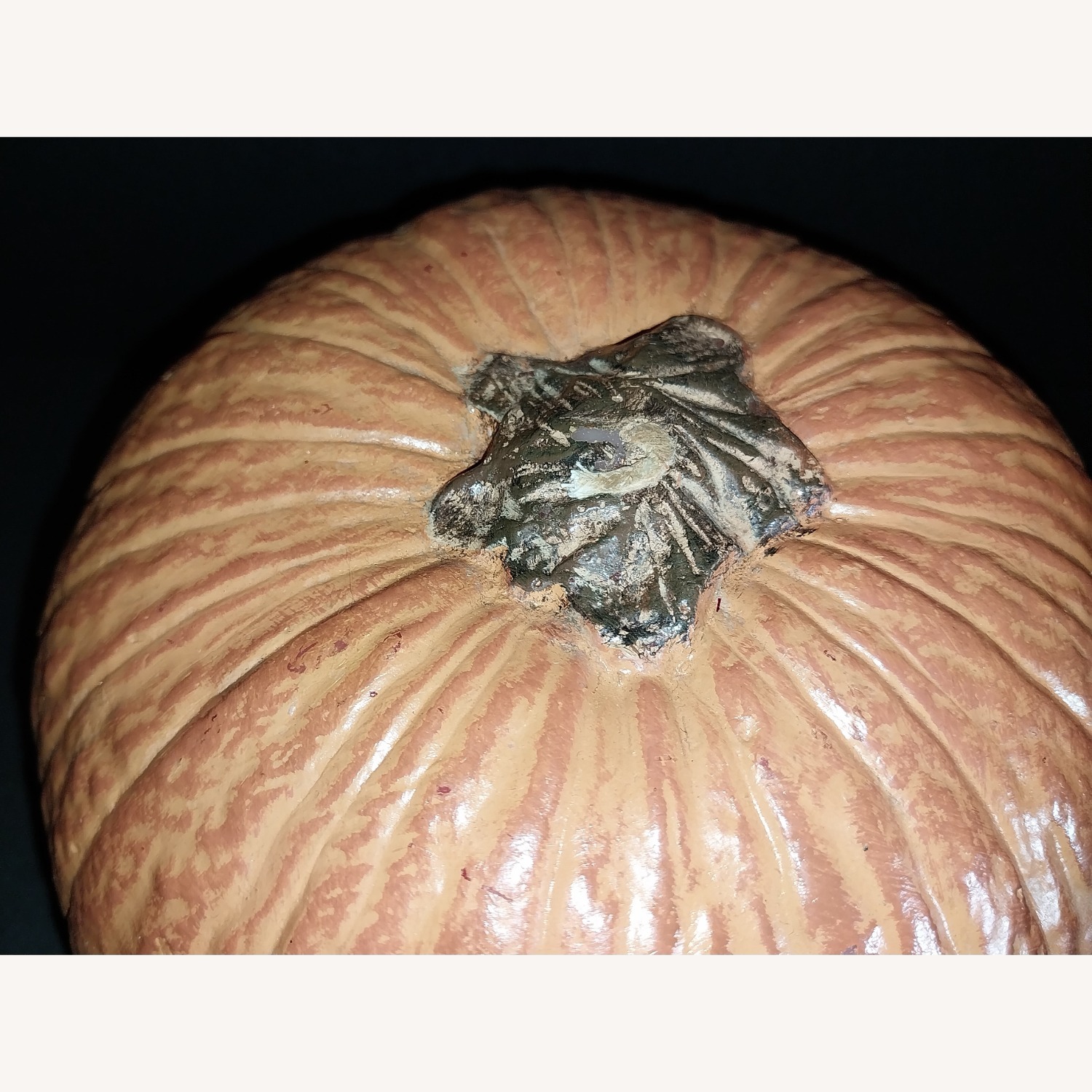 Pottery Barn Pumpkin Candles 2 Different Sizes  - image-14
