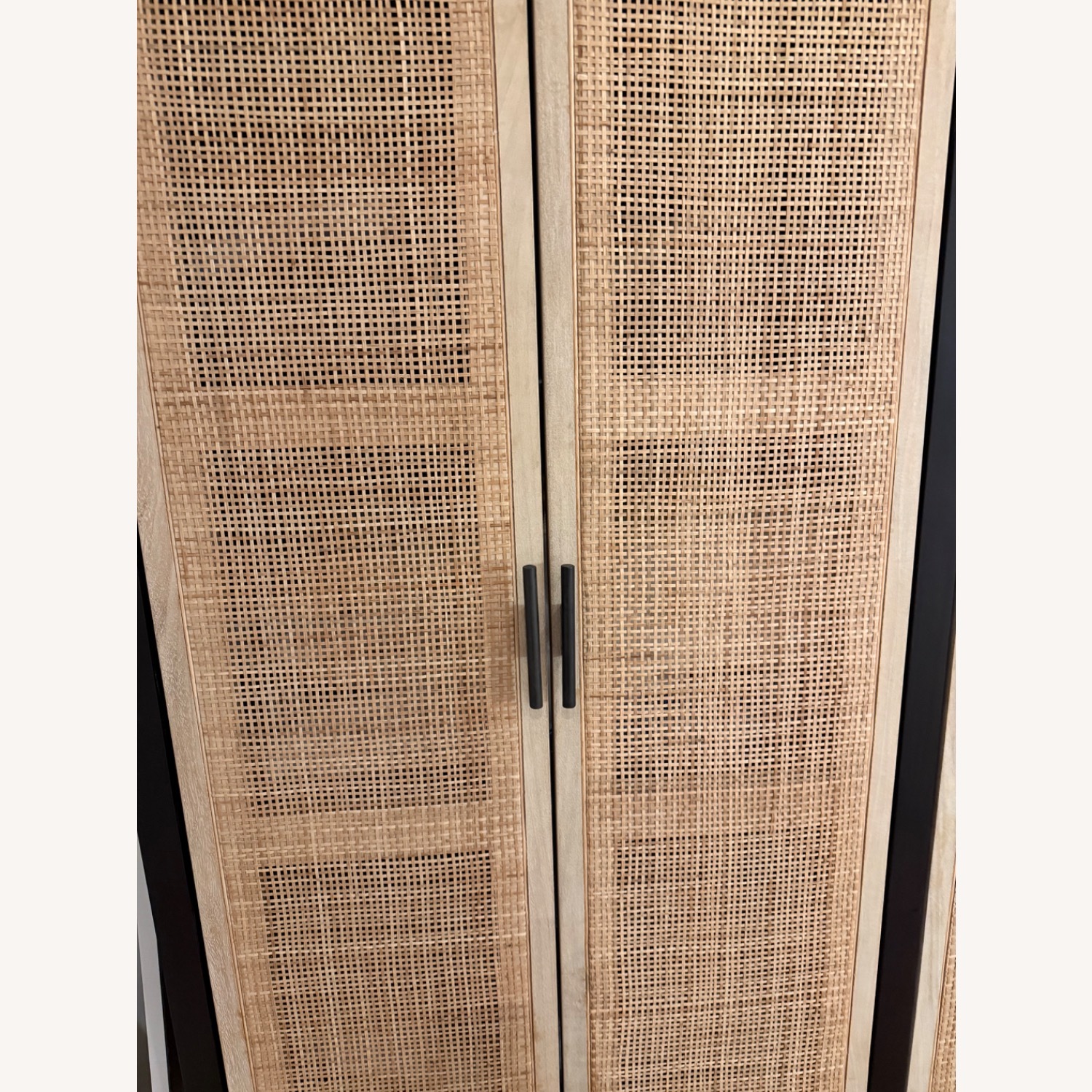 Lulu & Georgia Hannah Two-Door Cabinet  - image-2