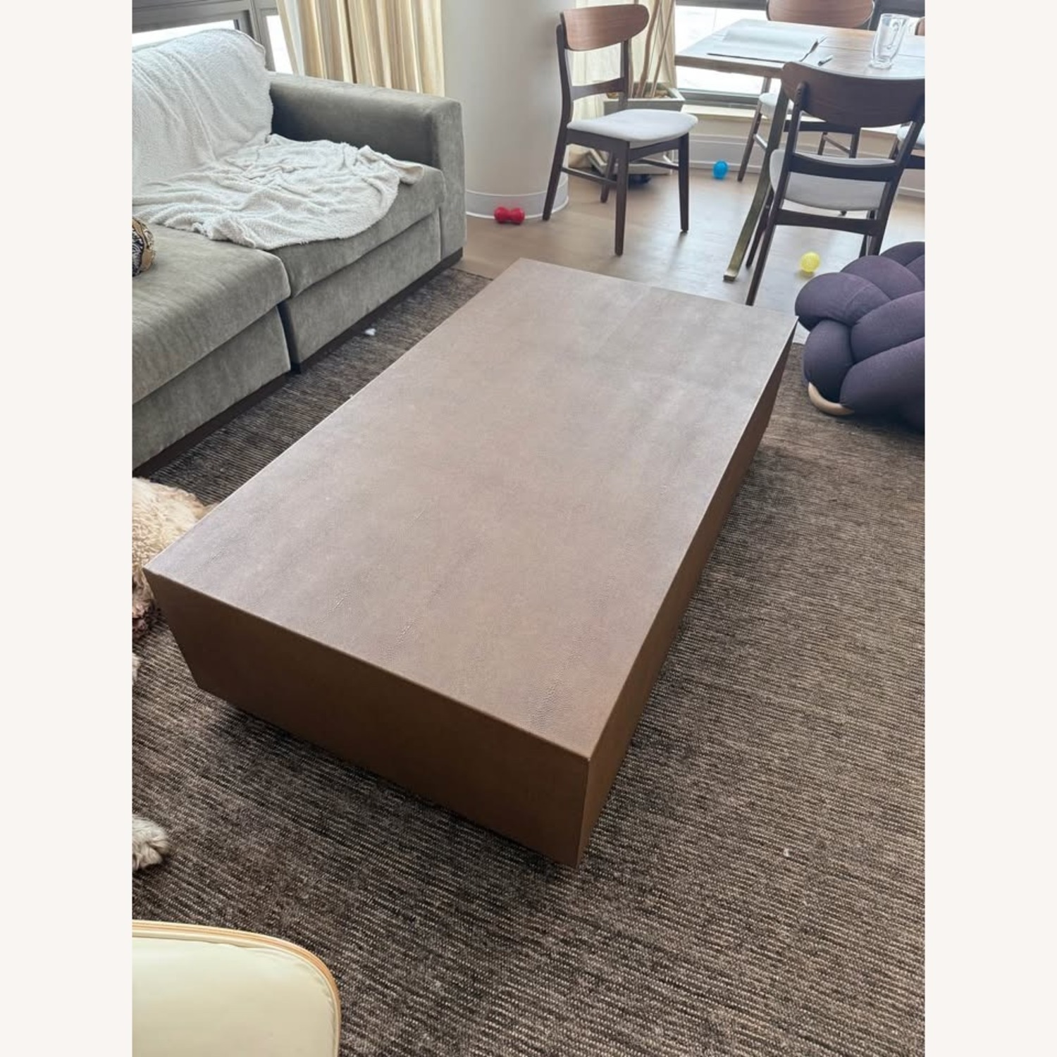 Restoration Hardware Graydon Shagreen Plinth Rectangular Coffee Table - image-1
