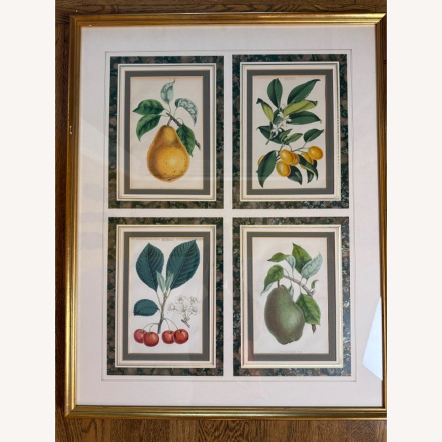 Vintage 19th Century English Botanical Prints  - image-1