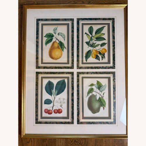 Used Vintage 19th Century English Botanical Prints for sale on AptDeco
