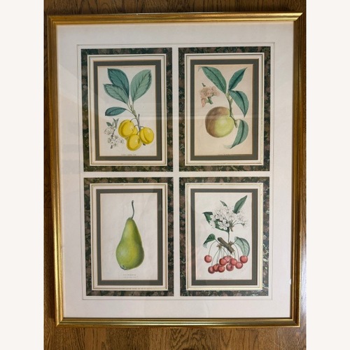 Used Vintage 19th Century English Botanical Prints for sale on AptDeco