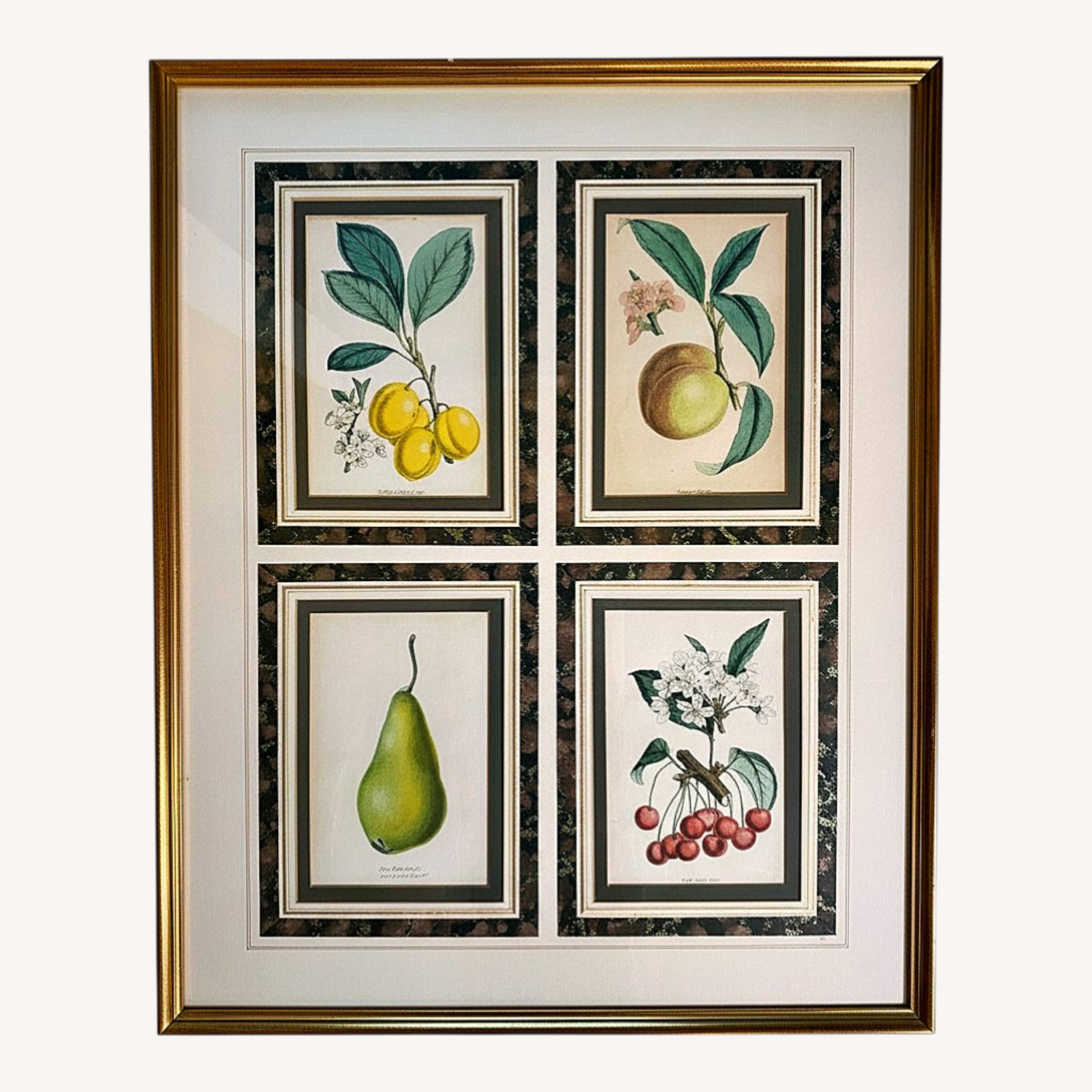 Vintage 19th Century English Botanical Prints  - image-23