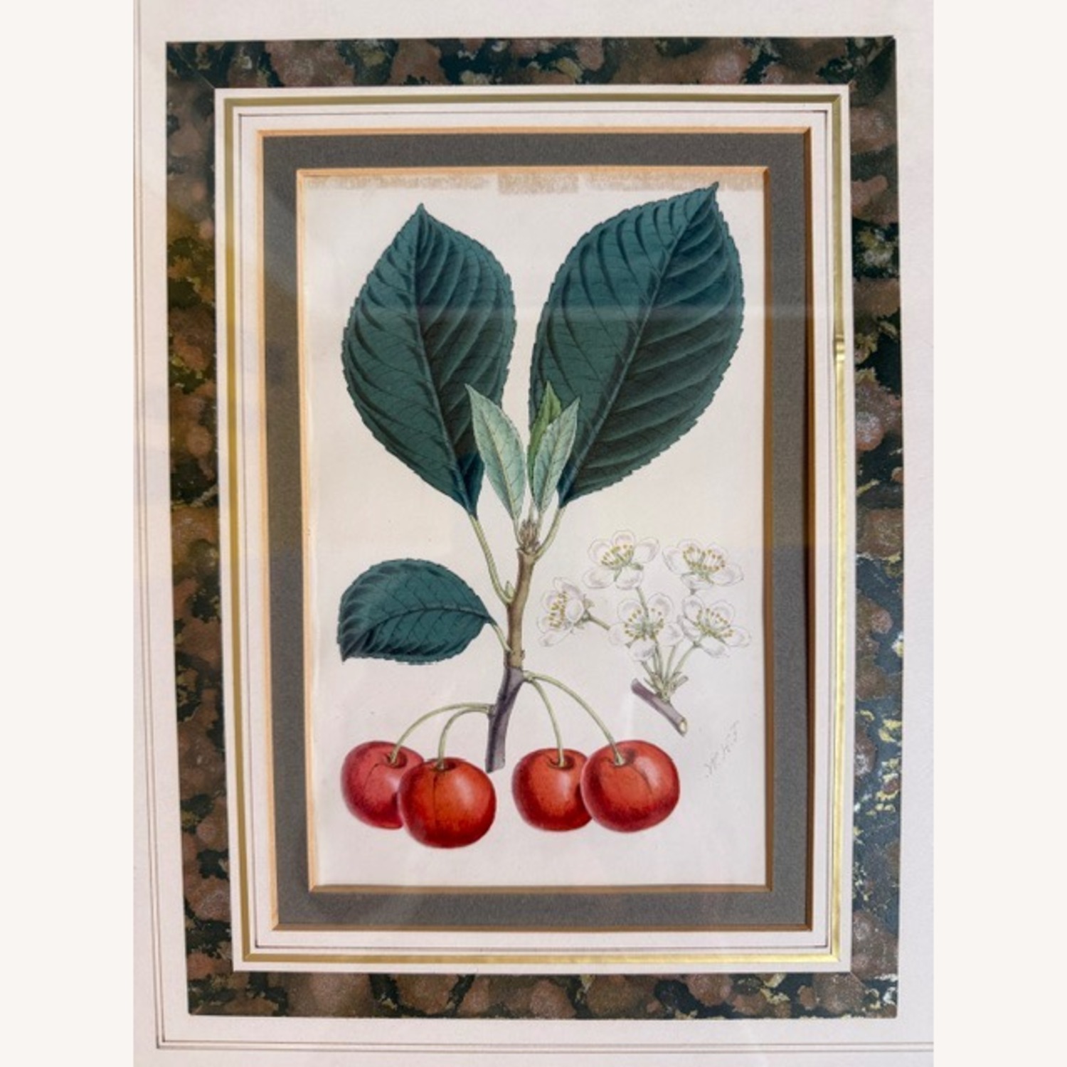 Vintage 19th Century English Botanical Prints  - image-15