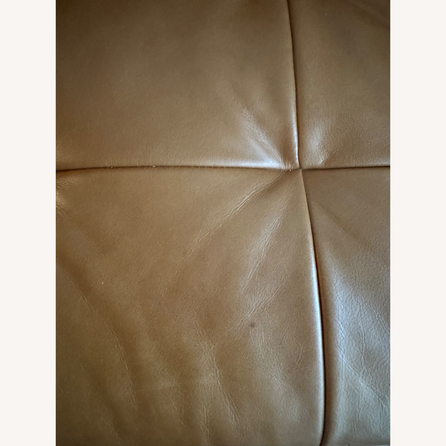 Light Brown Leather 2 Seater Sofa - image-3