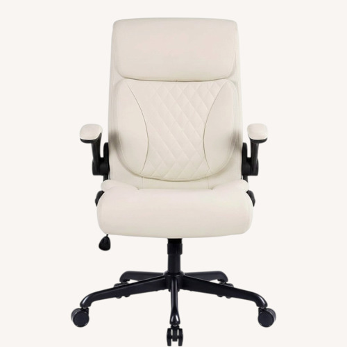 Used Youhauchair Executive Office Chair for sale on AptDeco