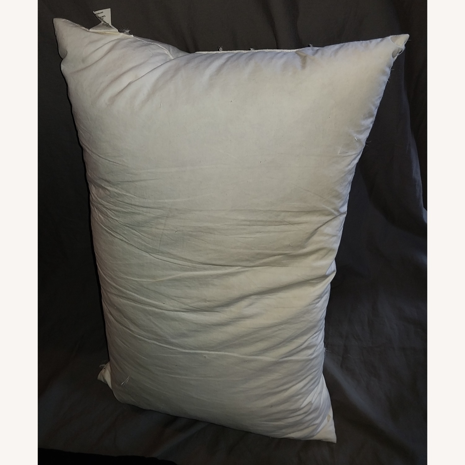 Crate & Barrel Pillow - image-10