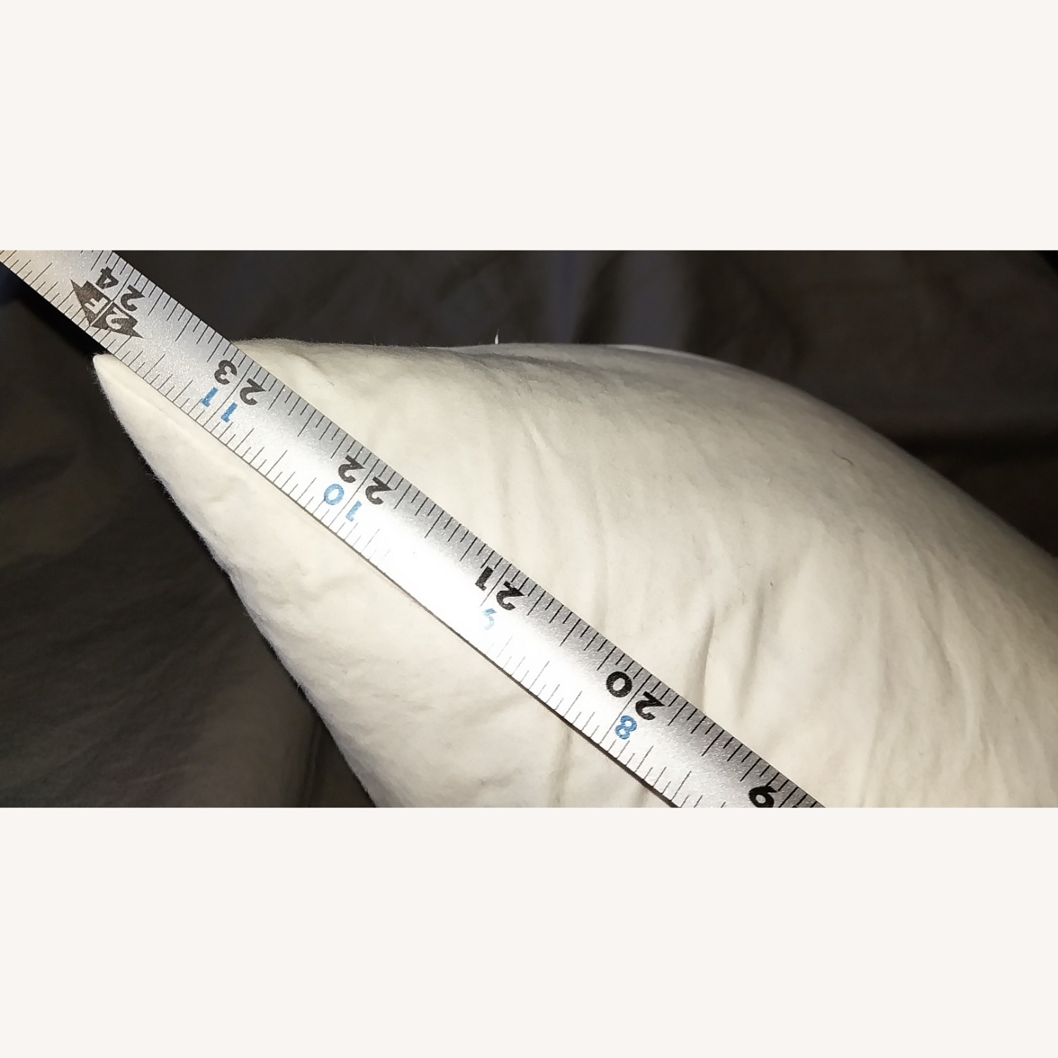 Crate & Barrel Pillow - image-14