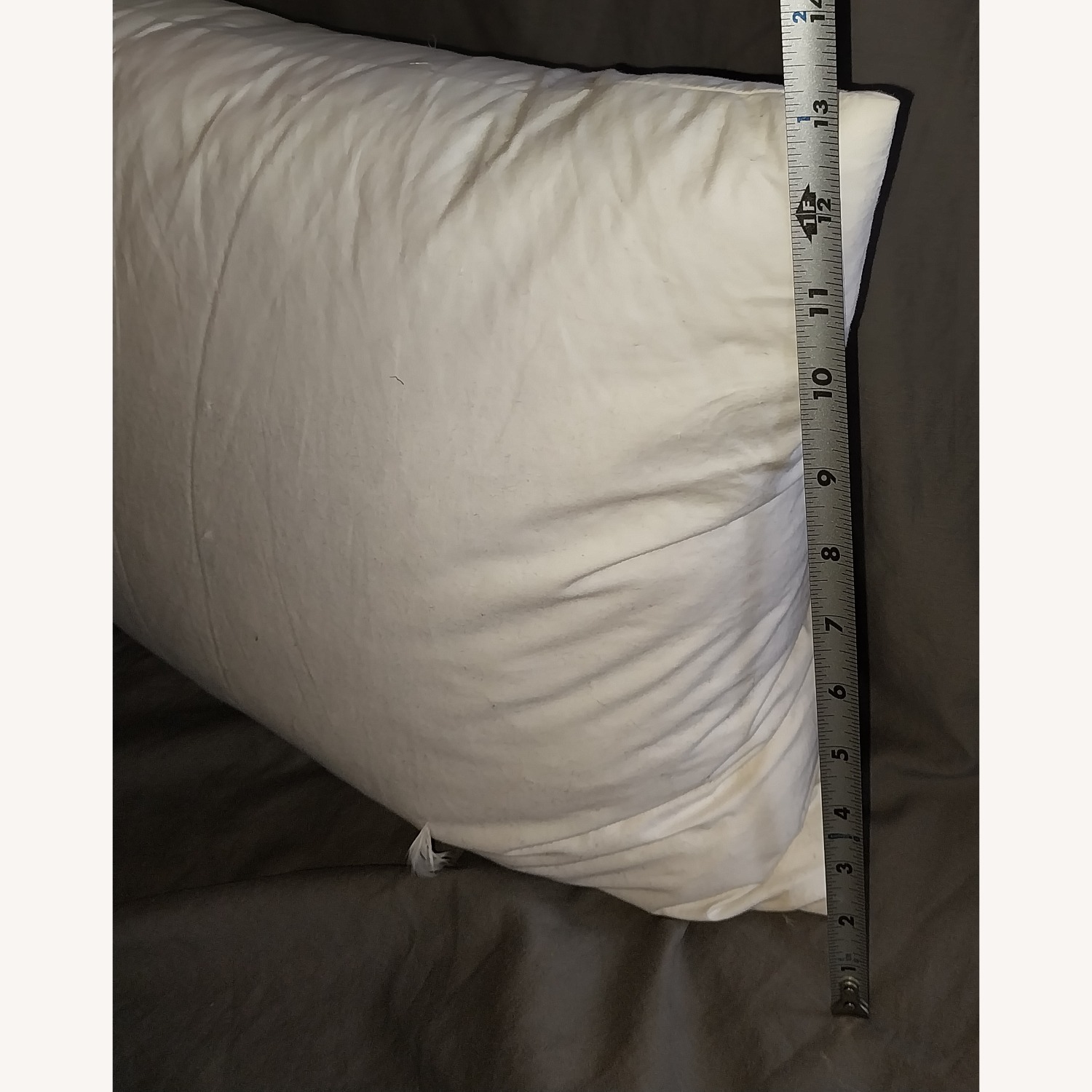 Crate & Barrel Pillow - image-13