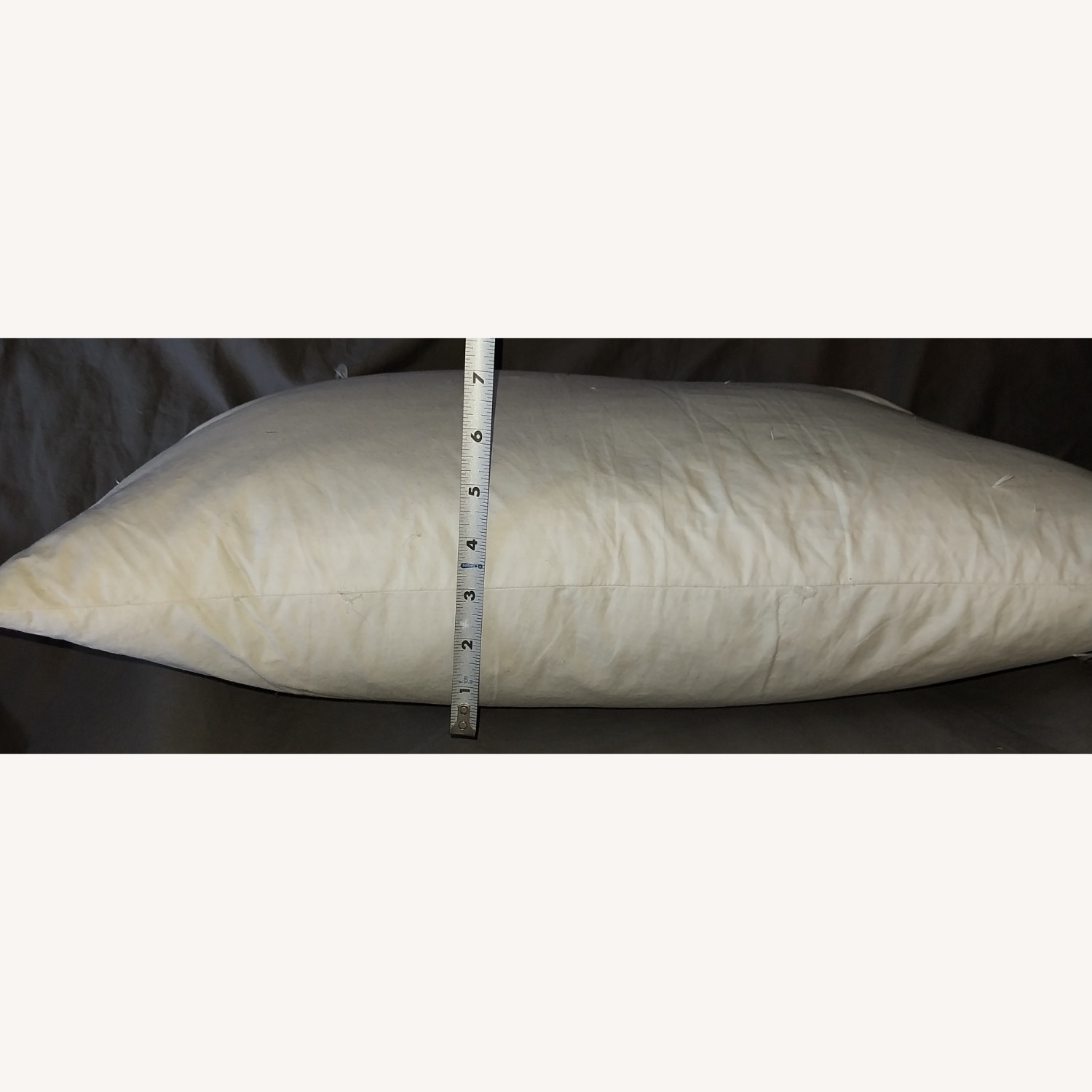 Crate & Barrel Pillow - image-12