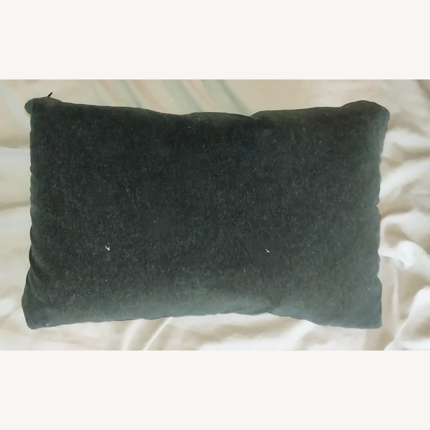 Crate & Barrel Pillow - image-15
