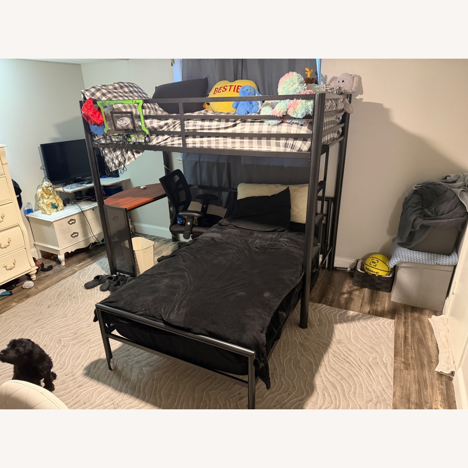 Coaster Fine Twin Workstation Loft Bed Black - image-1