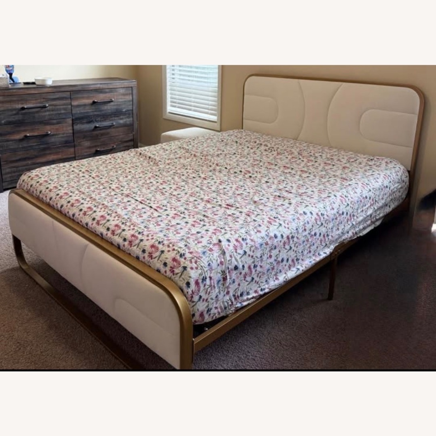 Amazon Gold n Cream Velvet Queen Bed - image-1
