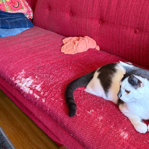 Used Vintage Danish Modern Sofa for sale on AptDeco