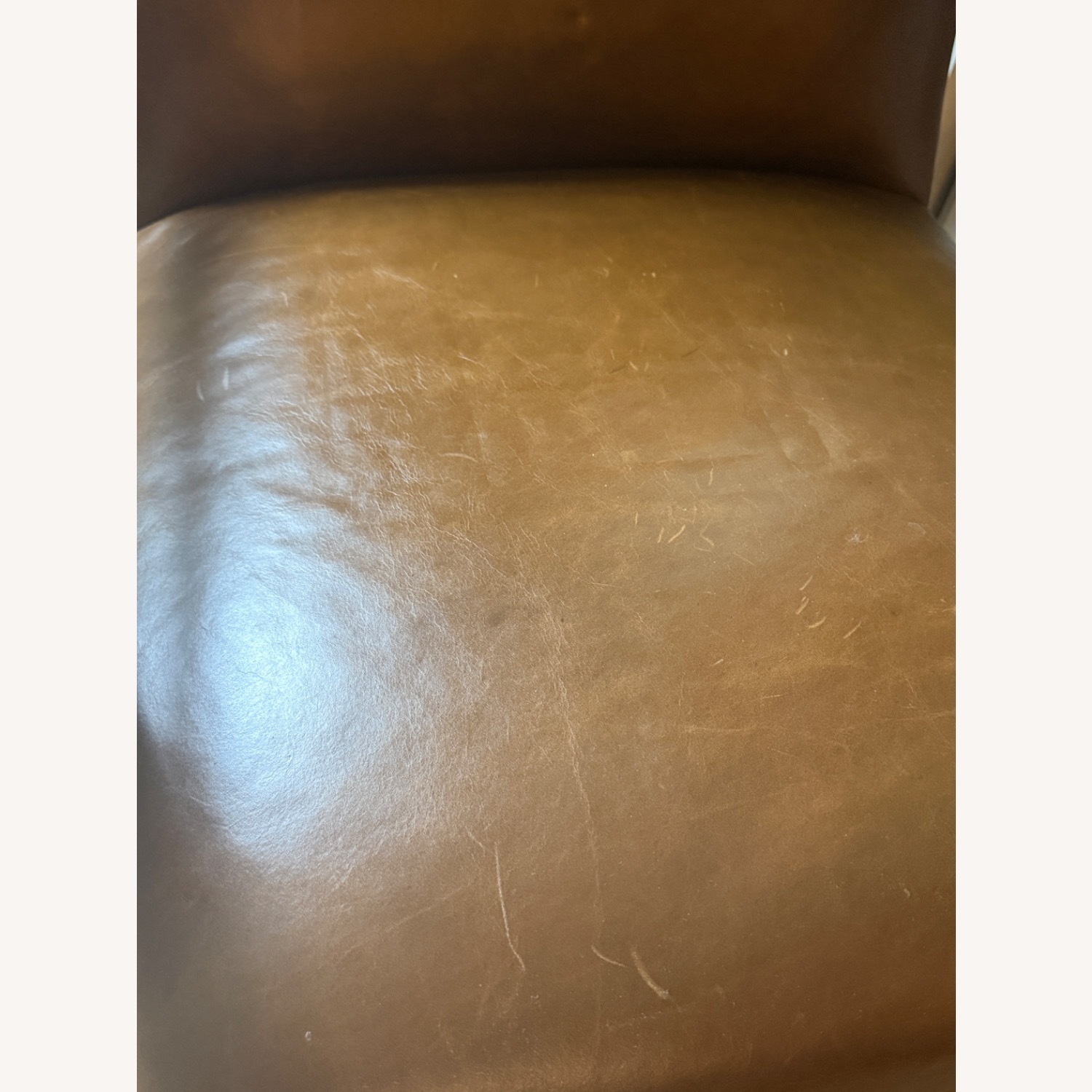 Set of Cavett Leather Chair Walnut - image-4