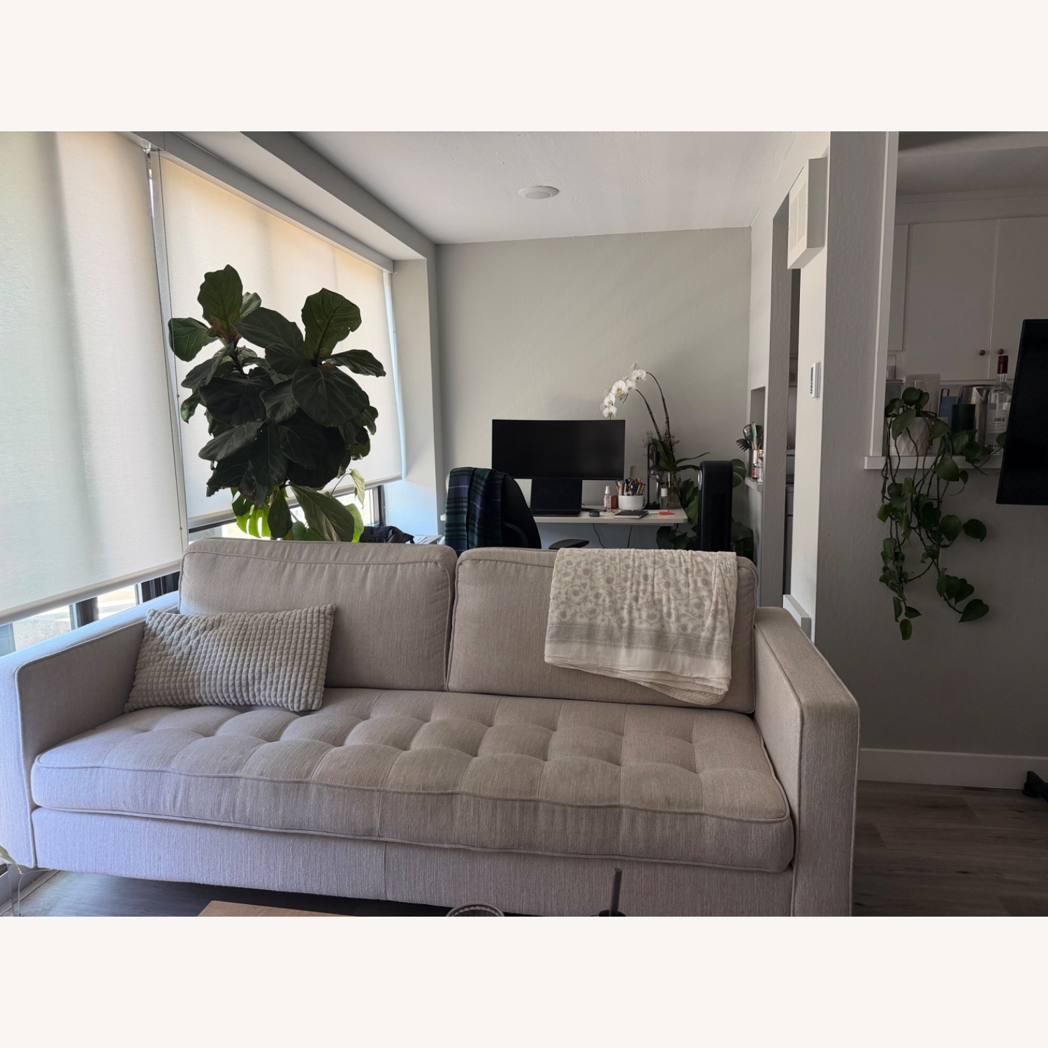 Couch - image-2