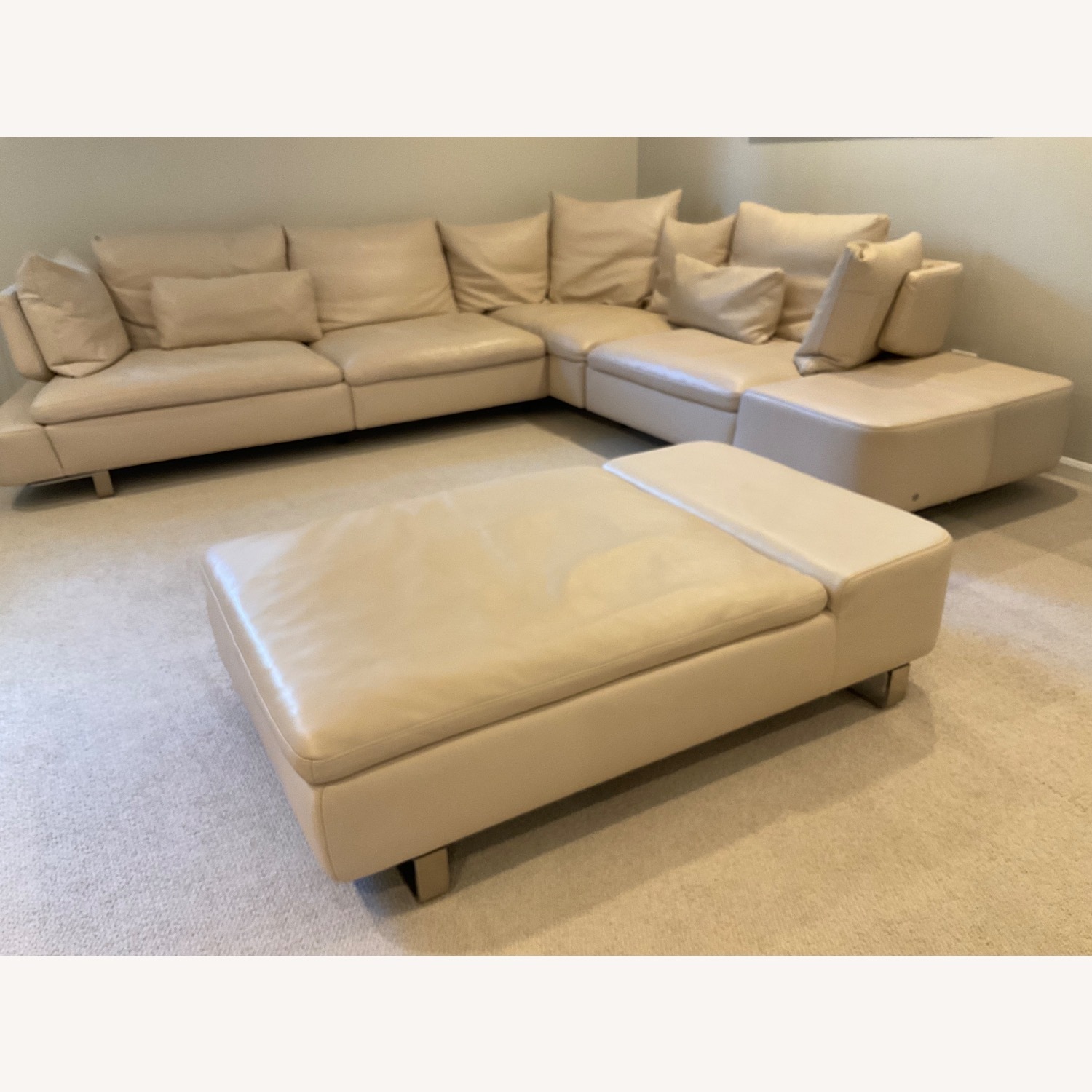 Natuzzi Italia Dove Sectional Sofa and Ottoman - image-1
