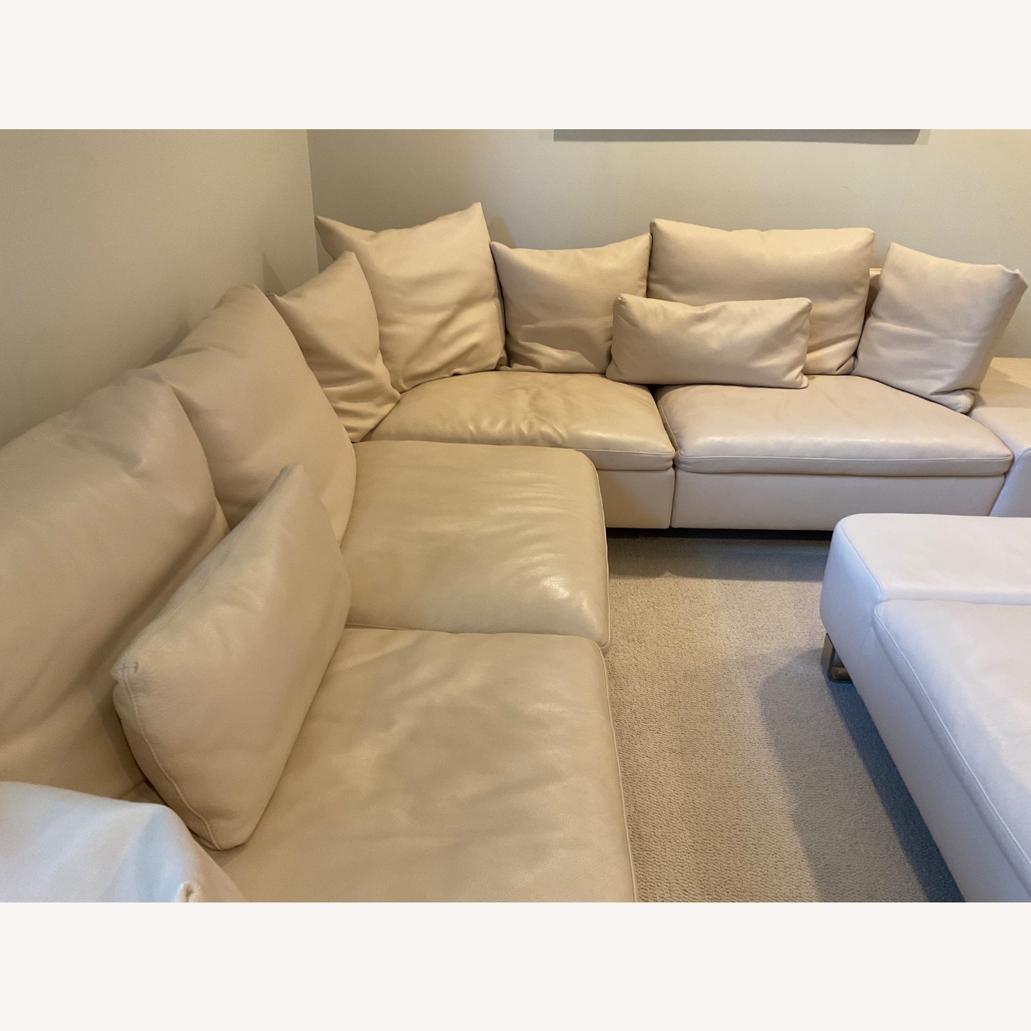 Natuzzi Italia Dove Sectional Sofa and Ottoman - image-2