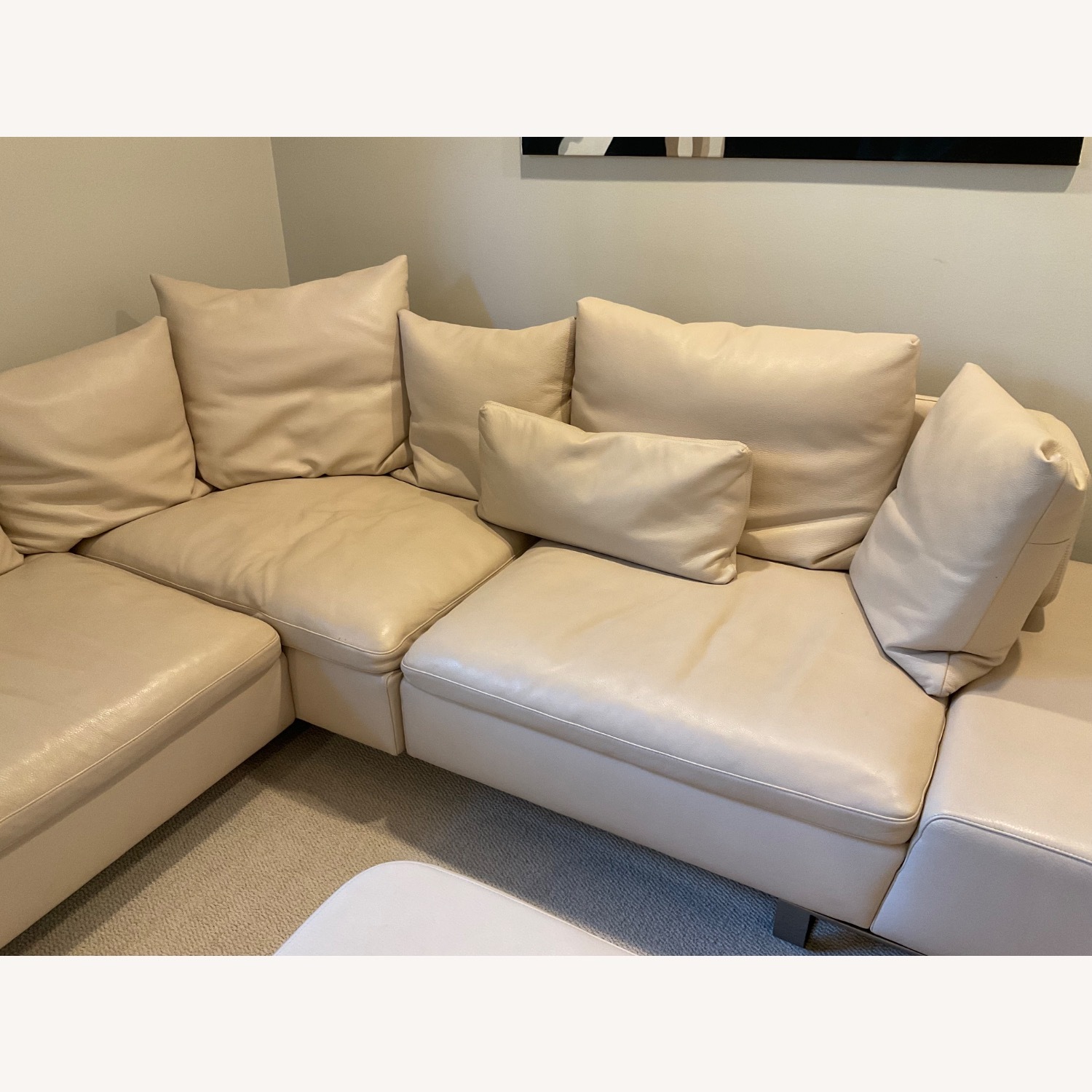 Natuzzi Italia Dove Sectional Sofa and Ottoman - image-9