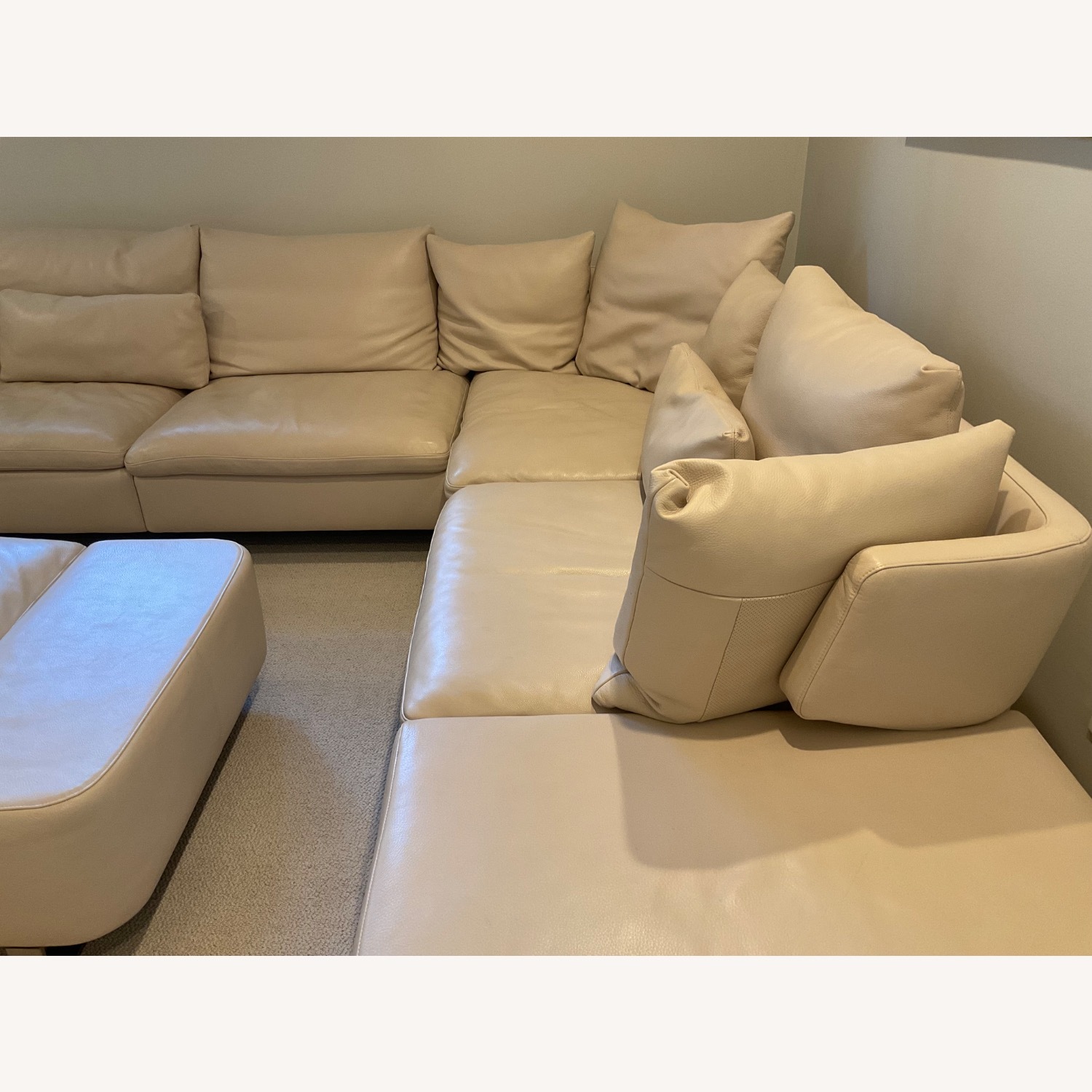 Natuzzi Italia Dove Sectional Sofa and Ottoman - image-6