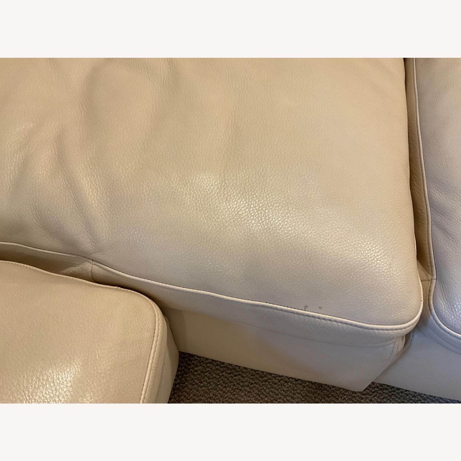 Natuzzi Italia Dove Sectional Sofa and Ottoman - image-3