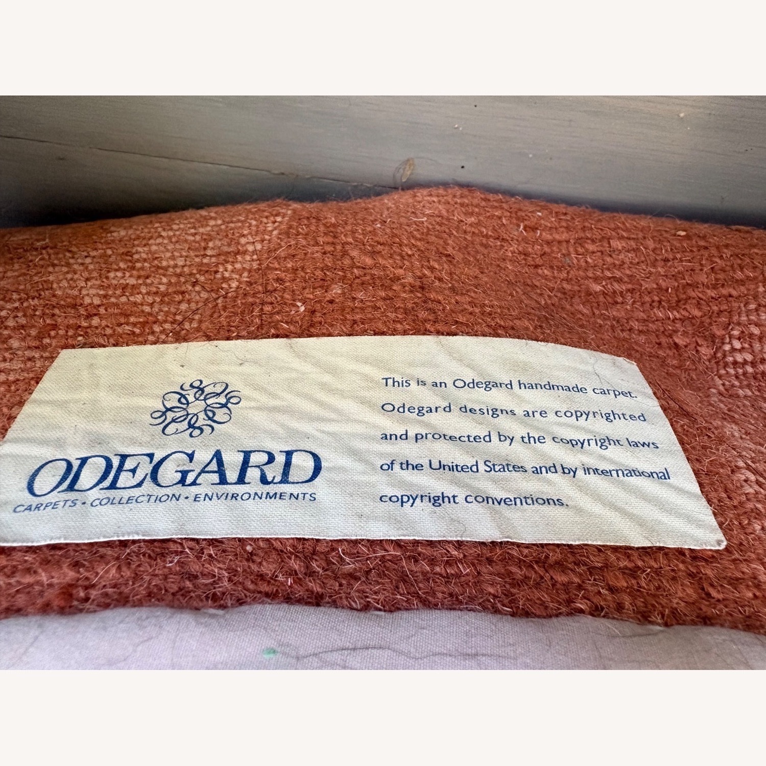 Stephanie Odegard collection Area Rug 9' x 12' - image-6