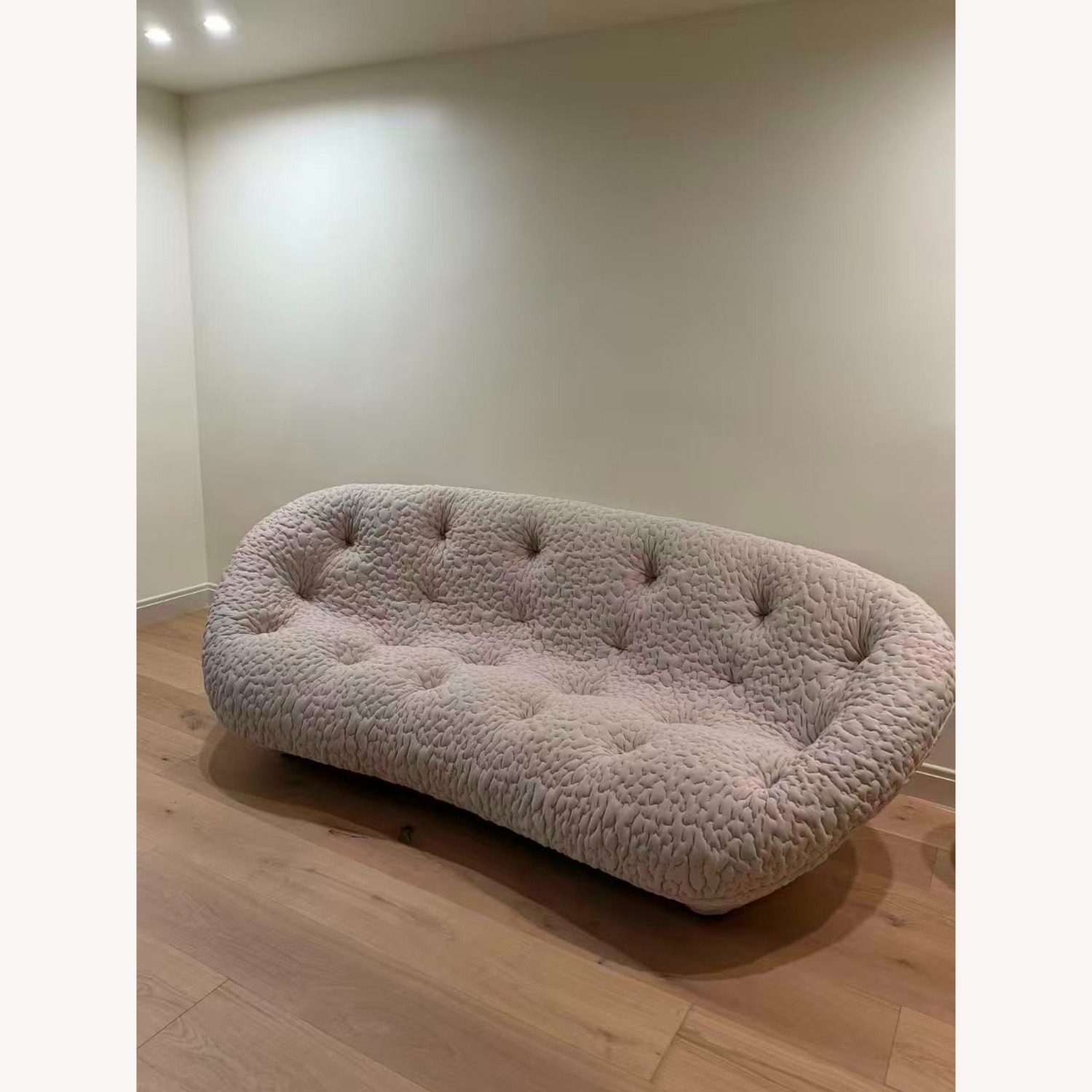 Luxury Shell Sofa - image-3