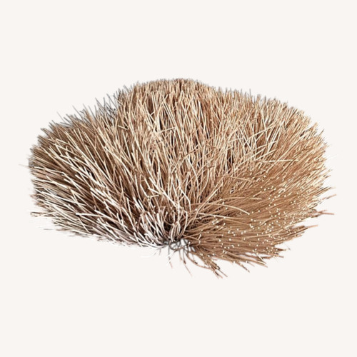 Used Unique Bamboo Urchin Lamp Shade for sale on AptDeco