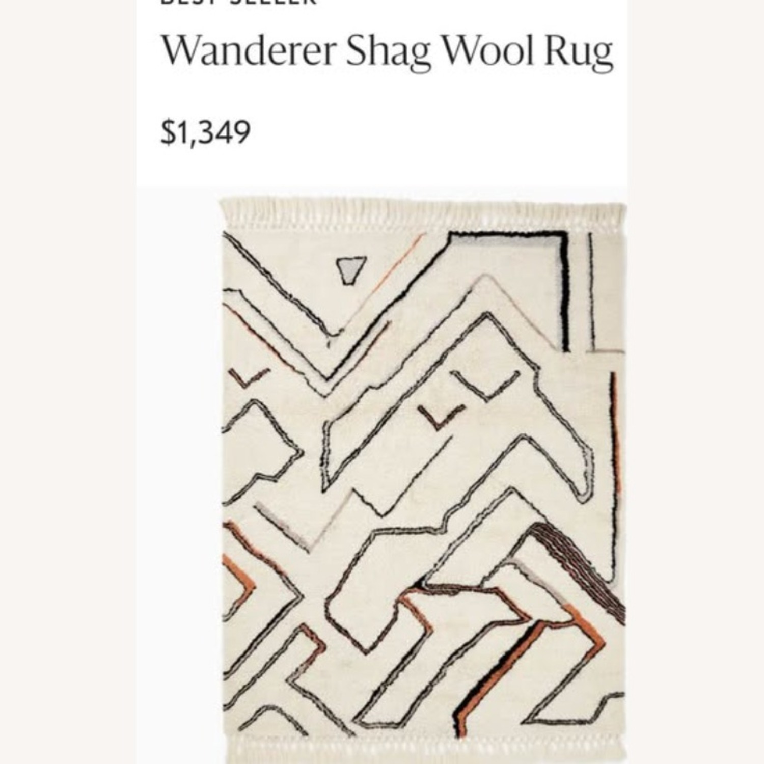 West Elm Wanderer Shag Wool Rug 8 x 10 - image-4