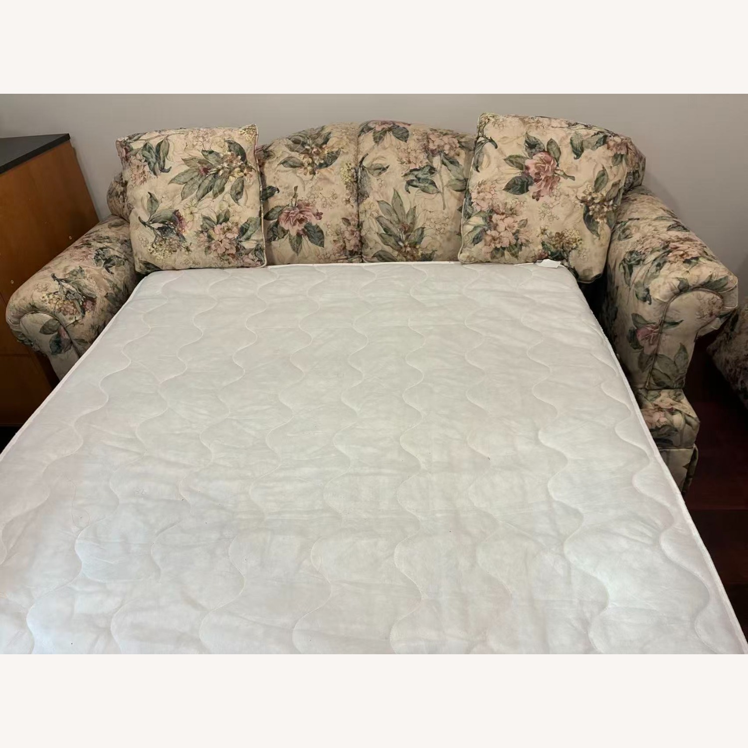 Traditional Rolled-arm Fabric Sleeper Sofa - image-9