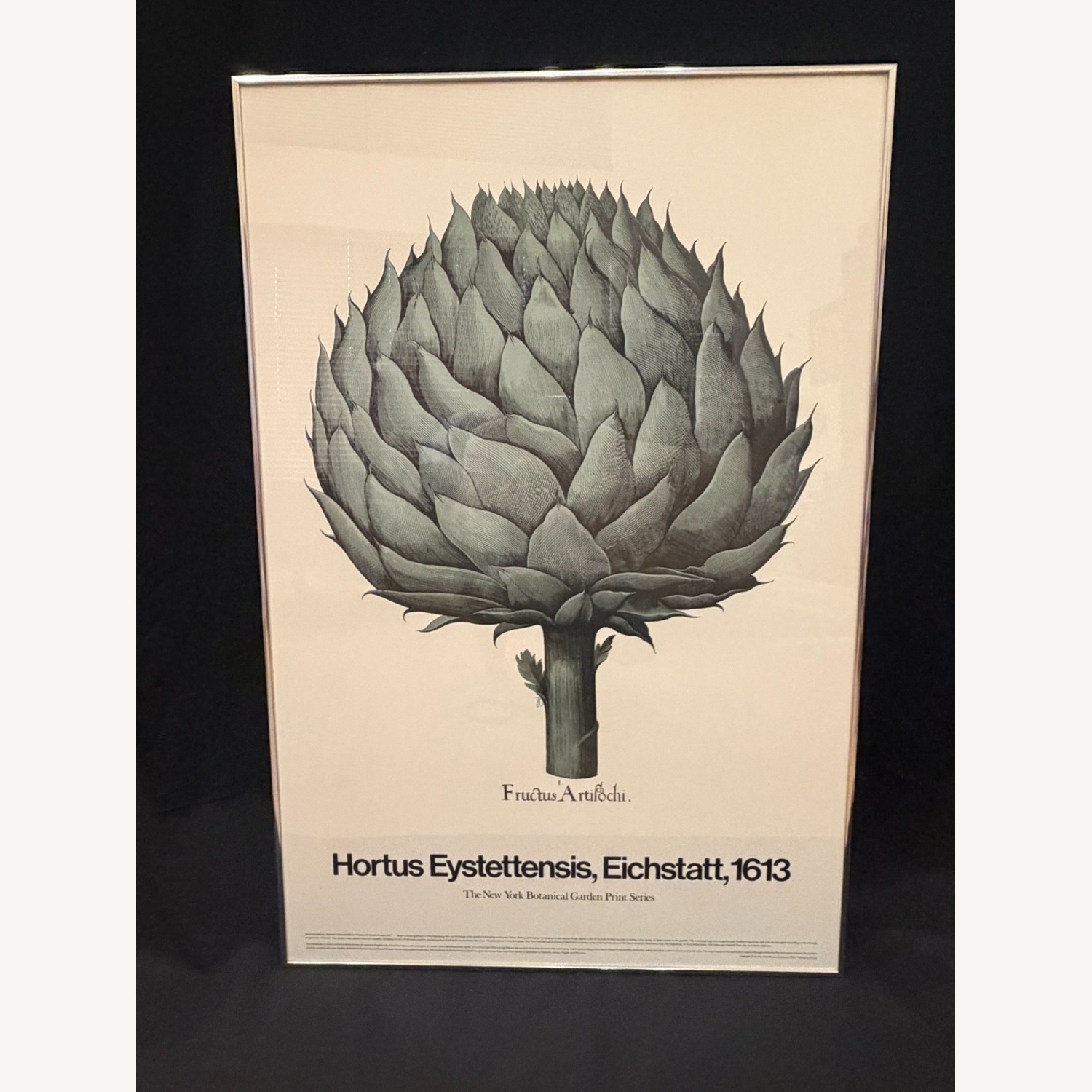 1613 Botanical Art Print – Fructus Artischi  - image-1