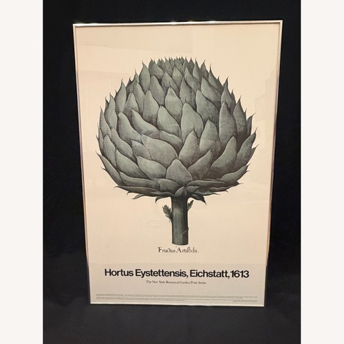 Used 1613 Botanical Art Print – Fructus Artischi for sale on AptDeco