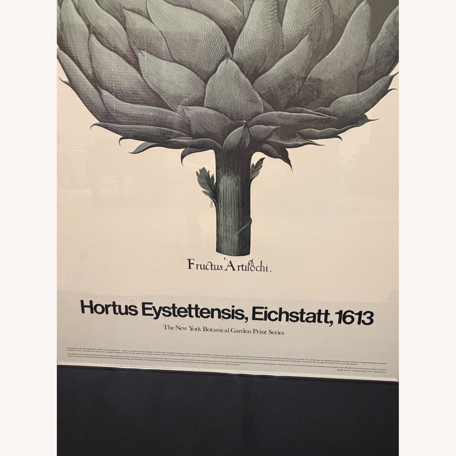 1613 Botanical Art Print – Fructus Artischi  - image-2